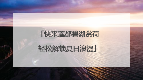 快来莲都碧湖赏荷 轻松解锁夏日浪漫