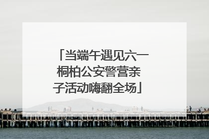 当端午遇见六一 桐柏公安警营亲子活动嗨翻全场