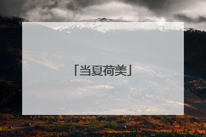 当夏荷美