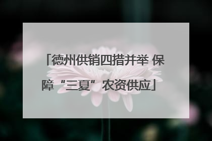 德州供销四措并举 保障“三夏”农资供应