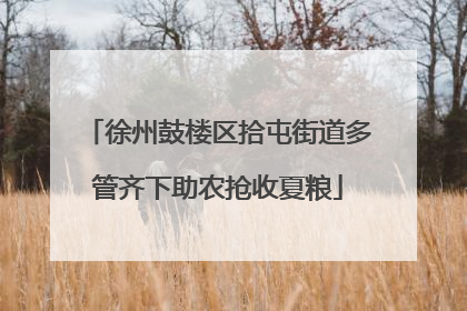 徐州鼓楼区拾屯街道多管齐下助农抢收夏粮