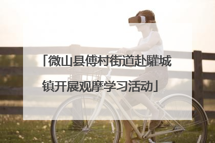 微山县傅村街道赴驩城镇开展观摩学习活动