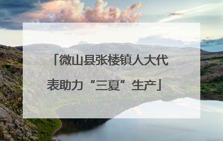 微山县张楼镇人大代表助力“三夏”生产