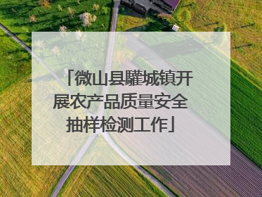 微山县驩城镇开展农产品质量安全抽样检测工作