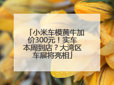 小米车模黄牛加价300元！实车本周到店？大湾区车展将亮相