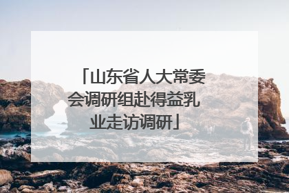 山东省人大常委会调研组赴得益乳业走访调研