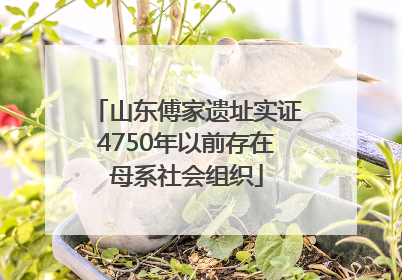 山东傅家遗址实证4750年以前存在母系社会组织