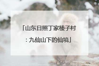 山东日照丁家楼子村：九仙山下的仙境