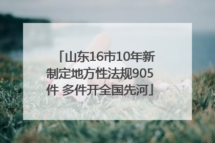 山东16市10年新制定地方性法规905件 多件开全国先河