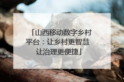 山西移动数字乡村平台：让乡村更智慧 让治理更便捷