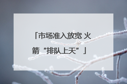 市场准入放宽 火箭“排队上天”