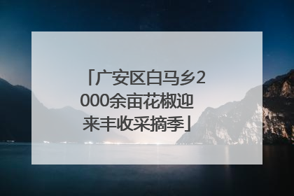 广安区白马乡2000余亩花椒迎来丰收采摘季