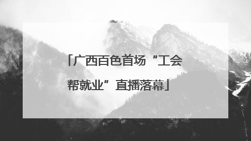 广西百色首场“工会帮就业”直播落幕