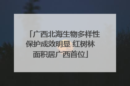 广西北海生物多样性保护成效明显 红树林面积居广西首位