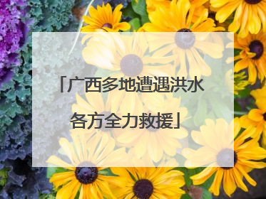 广西多地遭遇洪水 各方全力救援
