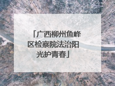 广西柳州鱼峰区检察院法治阳光护青春