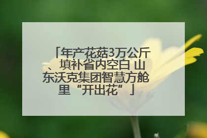 年产花菇3万公斤、填补省内空白 山东沃克集团智慧方舱里“开出花”