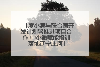 度小满与联合国开发计划署推进项目合作 中小微赋能培训落地辽宁庄河