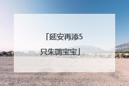 延安再添5只朱鹮宝宝
