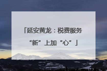 延安黄龙：税费服务“新”上加“心”