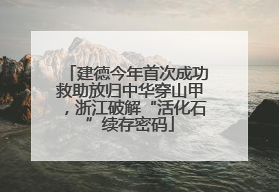 建德今年首次成功救助放归中华穿山甲，浙江破解“活化石”续存密码