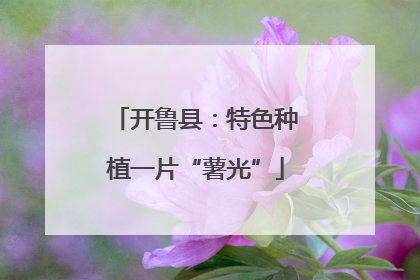 开鲁县：特色种植一片“薯光”