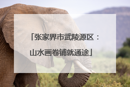 张家界市武陵源区：山水画卷铺就通途
