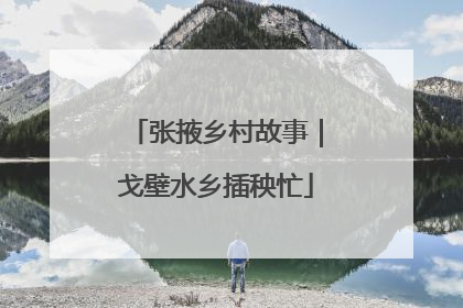 张掖乡村故事｜戈壁水乡插秧忙