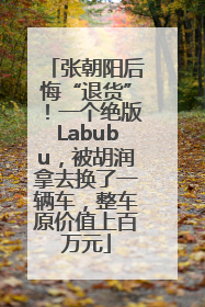 张朝阳后悔“退货”！一个绝版Labubu，被胡润拿去换了一辆车，整车原价值上百万元