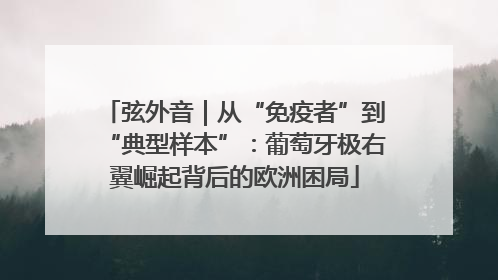 弦外音｜从“免疫者”到“典型样本”：葡萄牙极右翼崛起背后的欧洲困局