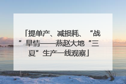 提单产、减损耗、“战”旱情——燕赵大地“三夏”生产一线观察