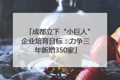 成都立下“小巨人”企业培育目标：力争三年新增350家