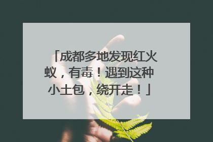 成都多地发现红火蚁，有毒！遇到这种小土包，绕开走！