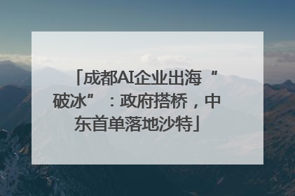 成都AI企业出海“破冰”：政府搭桥，中东首单落地沙特