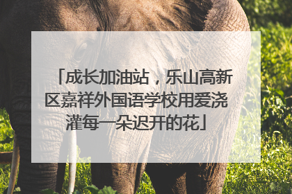成长加油站，乐山高新区嘉祥外国语学校用爱浇灌每一朵迟开的花