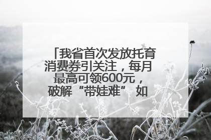 我省首次发放托育消费券引关注，每月最高可领600元，破解“带娃难” 如何不负所“托”？