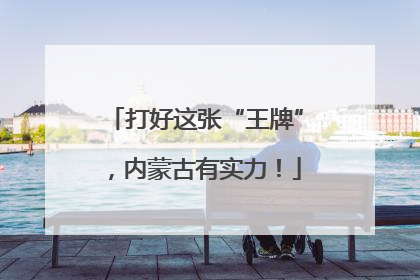 打好这张“王牌”，内蒙古有实力！