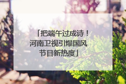 把端午过成诗！河南卫视引爆国风节目新热度