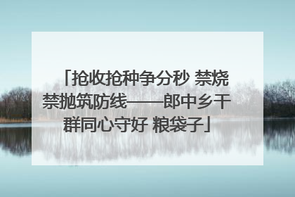 抢收抢种争分秒 禁烧禁抛筑防线——郎中乡干群同心守好 粮袋子