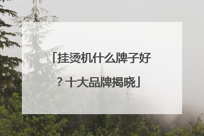 挂烫机什么牌子好？十大品牌揭晓