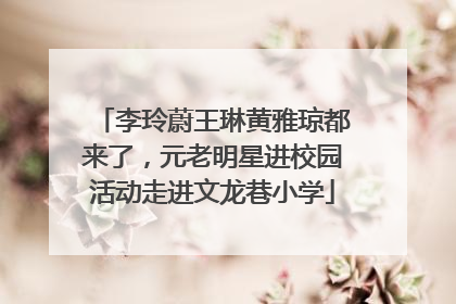 李玲蔚王琳黄雅琼都来了，元老明星进校园活动走进文龙巷小学
