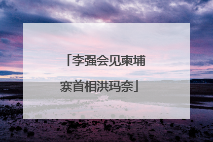 李强会见柬埔寨首相洪玛奈