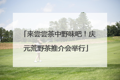 来尝尝茶中野味吧！庆元荒野茶推介会举行