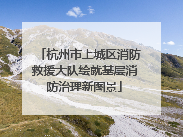杭州市上城区消防救援大队绘就基层消防治理新图景