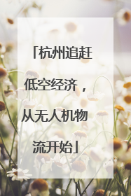 杭州追赶低空经济，从无人机物流开始