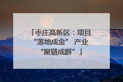 枣庄高新区：项目“落地成金” 产业“聚链成群”