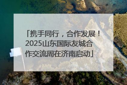 携手同行，合作发展！2025山东国际友城合作交流周在济南启动