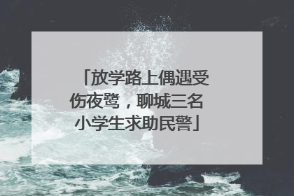 放学路上偶遇受伤夜鹭，聊城三名小学生求助民警