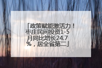 政策赋能激活力！枣庄民间投资1-5月同比增长24.7%，居全省第二