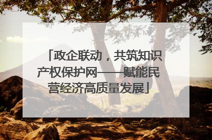 政企联动，共筑知识产权保护网——赋能民营经济高质量发展